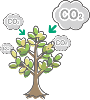 大気中のCO₂を吸収